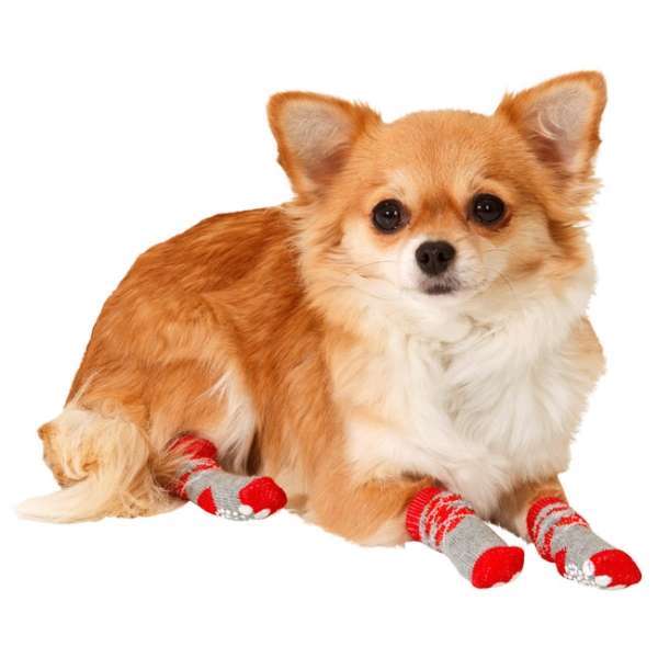 Bild 1 von Karlie Doggy Socks Hundesocken 4er Set - Rot/Grau