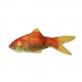 Bild 3 von Robocat Goldfisch - 30 cm