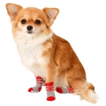 Bild 4 von Karlie Doggy Socks Hundesocken 4er Set - Rot/Grau  / (Variante) M